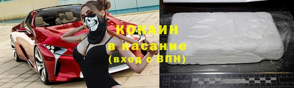 индика Балахна
