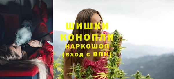 индика Балахна