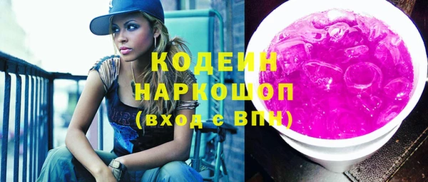 индика Балахна