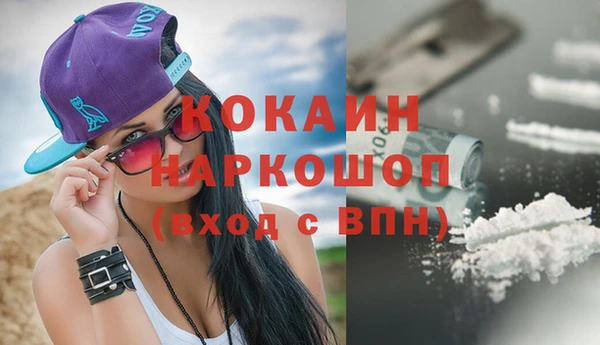 индика Балахна