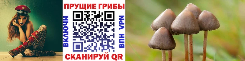Псилоцибиновые грибы Psilocybine cubensis  Старая Купавна 